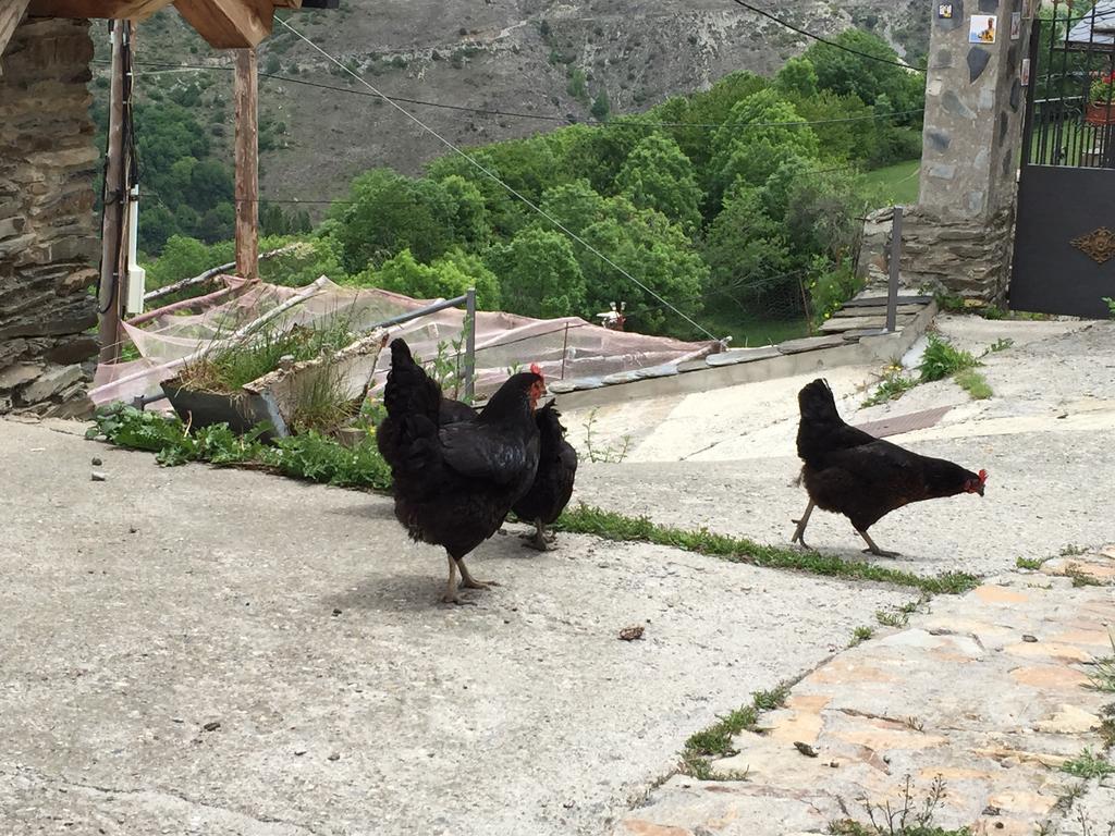 Lo Paller De Roc Montescladó Екстериор снимка